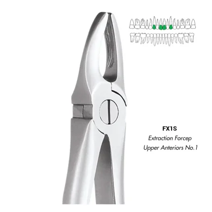 GDC Extraction Forcep Upper Anteriors No.1 (FX1S)