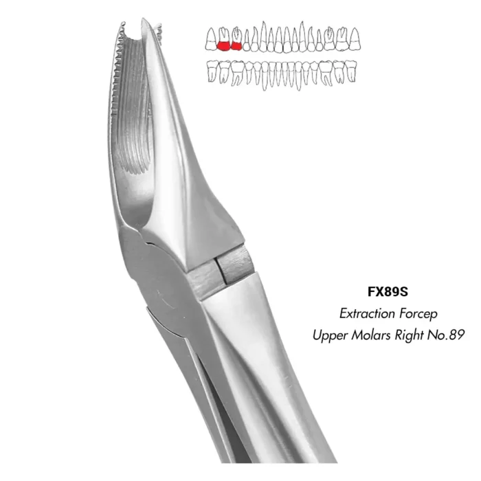 GDC Extraction Forcep Upper Molars Right No.89 (FX89S)