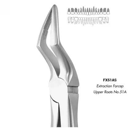 GDC Extraction Forcep Upper Roots No.51A (FX51AS)