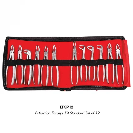 GDC Extraction Forceps Kit Set of 12 Standard in Red Pouch(EFSP12)