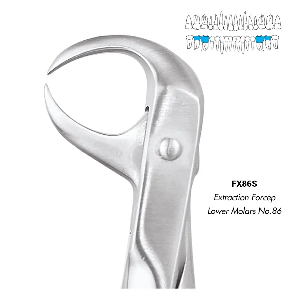 GDC Extraction Forceps Lower Molars No.86 (FX86S)