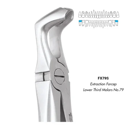 GDC Extraction Forceps Lower Third Molars No.79 (FX79S)
