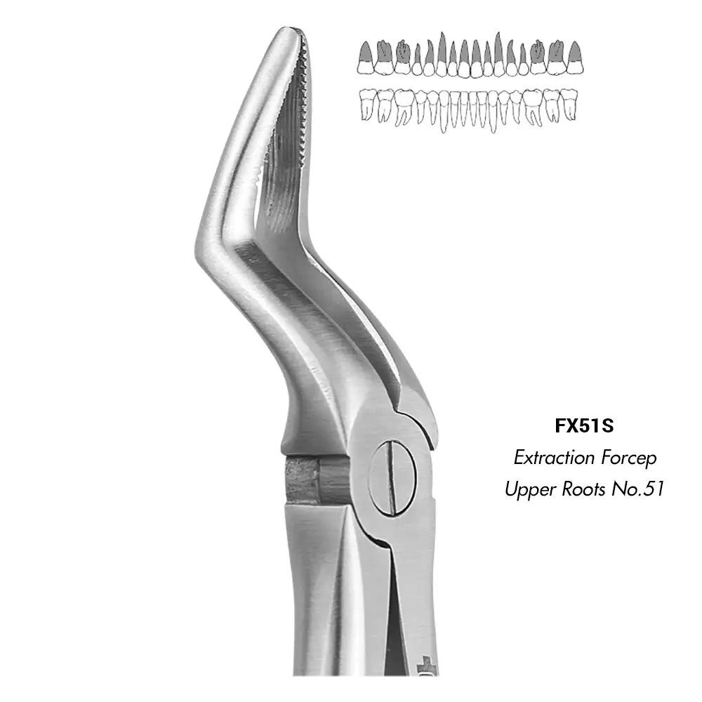 GDC Extraction Forceps Upper Roots No.51 (FX51S)