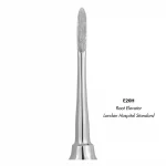 GDC Root Elevator London Hospital Standard (E20H)