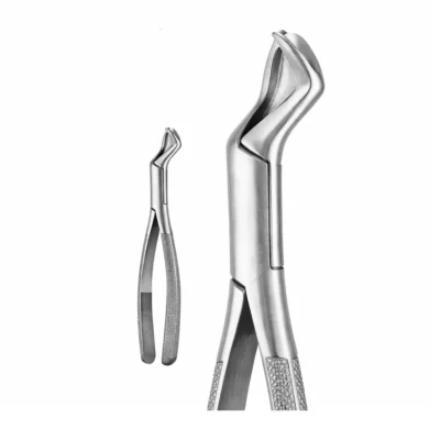 GDC American Forceps Nevius First & Second Upper Molar Teeth Right (F88R)