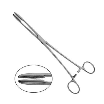 GDC Dressing Forceps Gross Maier Straight 20Cm (SDFS)