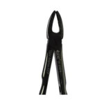 GDC Extraction Forceps Black Line (FX1B)