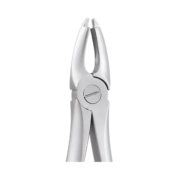GDC Tooth Forceps Atraumatic (AFX1)
