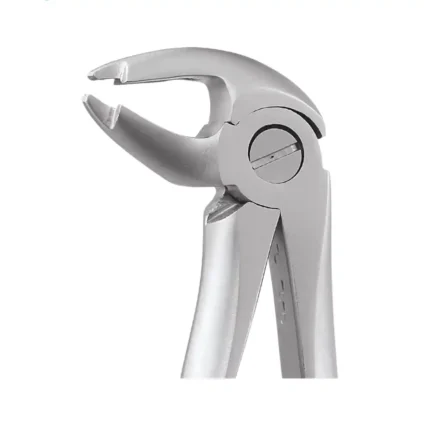 GDC Tooth Forceps Atraumatic (AFX13)