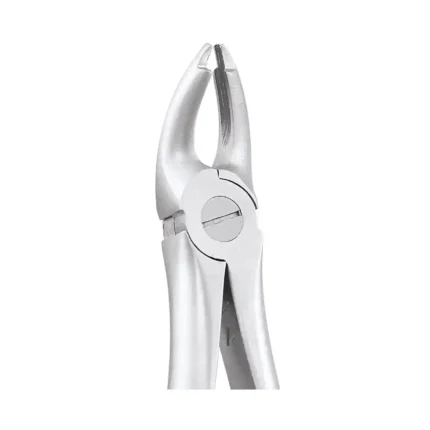 GDC Tooth Forceps Atraumatic (AFX7)