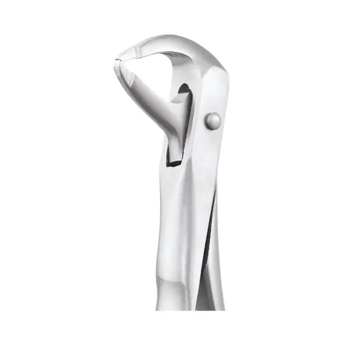 GDC Tooth Forceps Atraumatic (AFX74N)