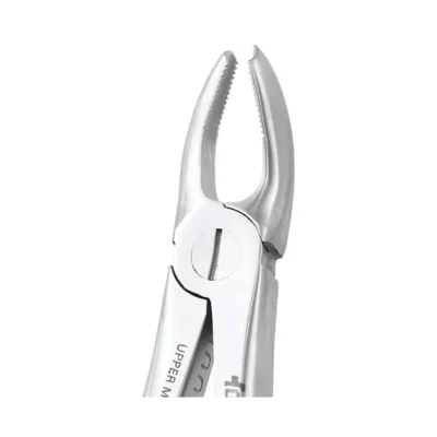GDC Tooth Forceps Ergonomic (FX18E)