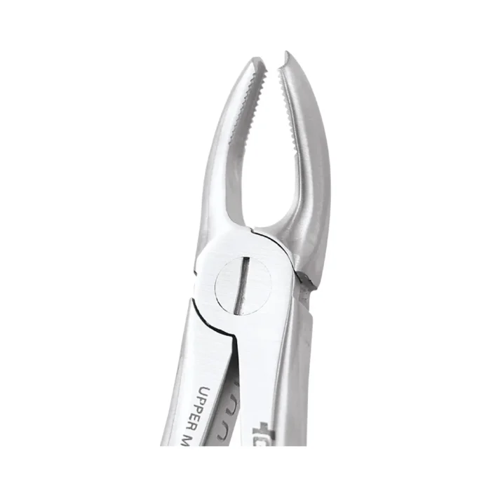 GDC Tooth Forceps Ergonomic (FX18E)