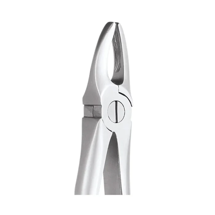 GDC Tooth Forceps Ergonomic (FX1E)