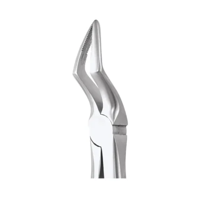 GDC Tooth Forceps Ergonomic (FX51AE)
