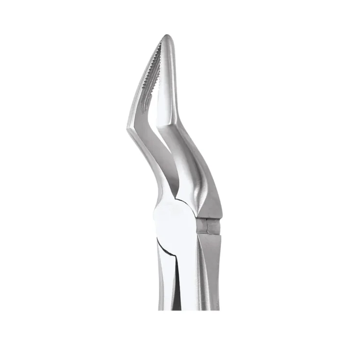GDC Tooth Forceps Ergonomic (FX51AE)