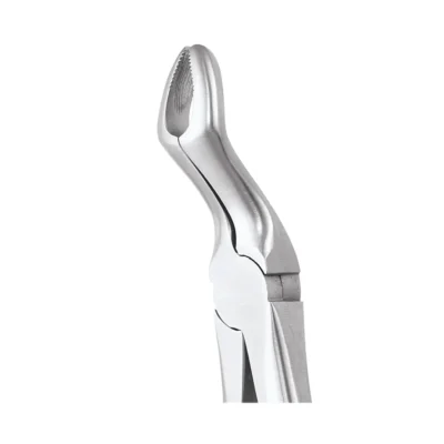 GDC Tooth Forceps Ergonomic (FX67AE)