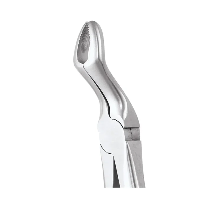 GDC Tooth Forceps Ergonomic (FX67AE)