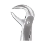 GDC Tooth Forceps Ergonomic (FX73E)
