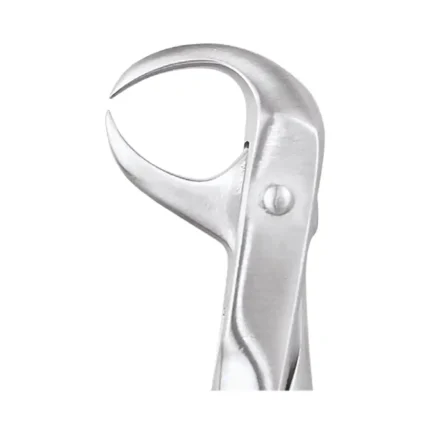 GDC Tooth Forceps Ergonomic (FX86E)