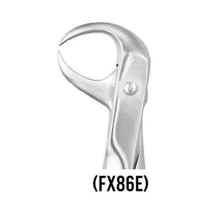 GDC Tooth Forceps Ergonomic (FX86E)