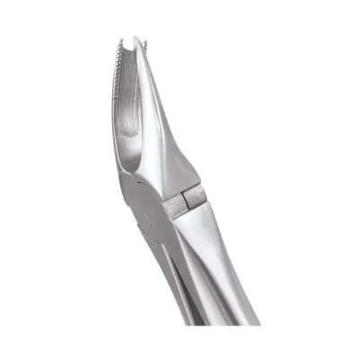 GDC Tooth Forceps Ergonomic (FX89E)