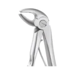 GDC Tooth Forceps Peedo Premium (FX1CP)