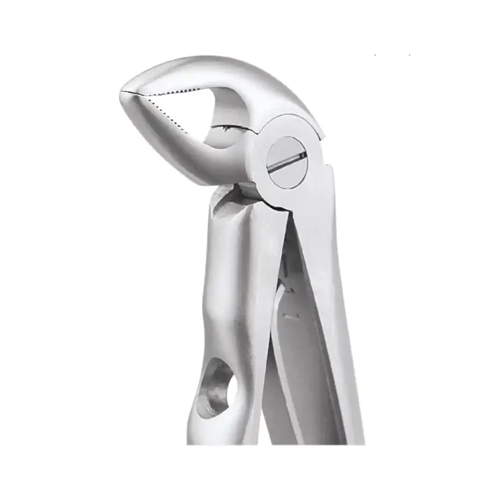 GDC Tooth Forceps Peedo Premium (FX3CP)