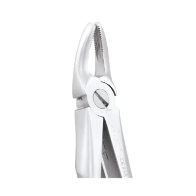 GDC Tooth Forceps Peedo Premium (FX4CP)