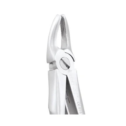 GDC Tooth Forceps Peedo Premium (FX4CP)