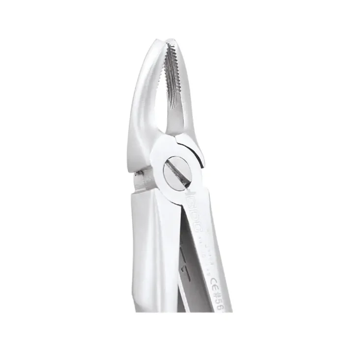 GDC Tooth Forceps Peedo Premium (FX4CP)