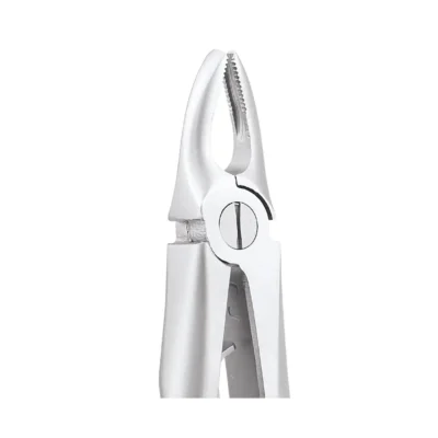 GDC Tooth Forceps Peedo Premium (FX5CP)