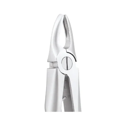 GDC Tooth Forceps Peedo Premium (FX5CP)