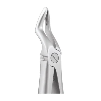 GDC Tooth Forceps Peedo Premium (FX7CP)