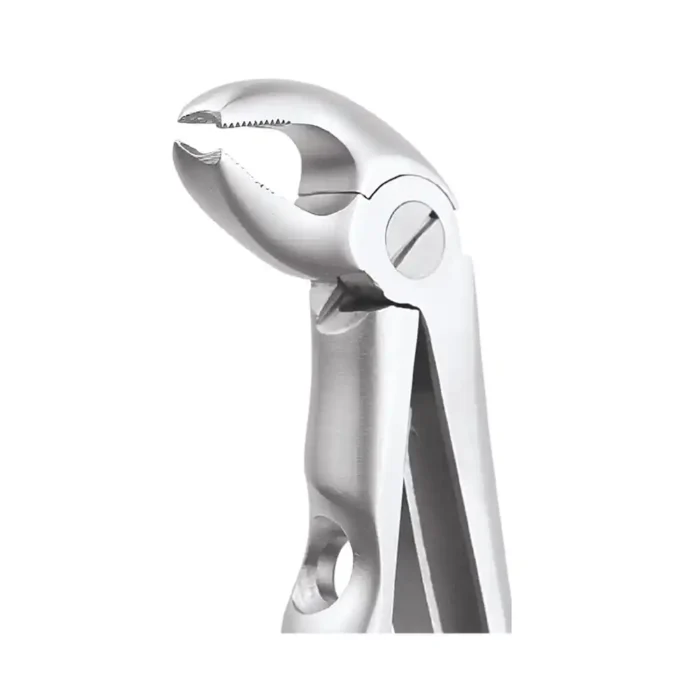 GDC Tooth Forceps Peedo Standard (FX2CS)