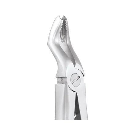 GDC Tooth Forceps Peedo Standard (FX6CS)