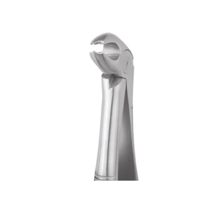GDC Tooth Forceps Premium (FX22P)