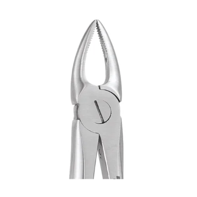 GDC Tooth Forceps Premium (FX29NP)