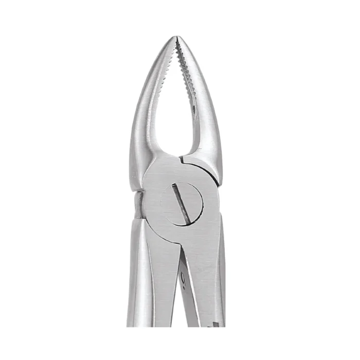 GDC Tooth Forceps Premium (FX29NP)