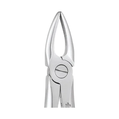 GDC Tooth Forceps Premium (FX29P)