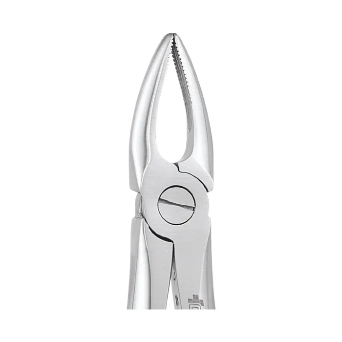 GDC Tooth Forceps Premium (FX29P)