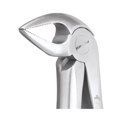 GDC Tooth Forceps Premium (FX33AP)