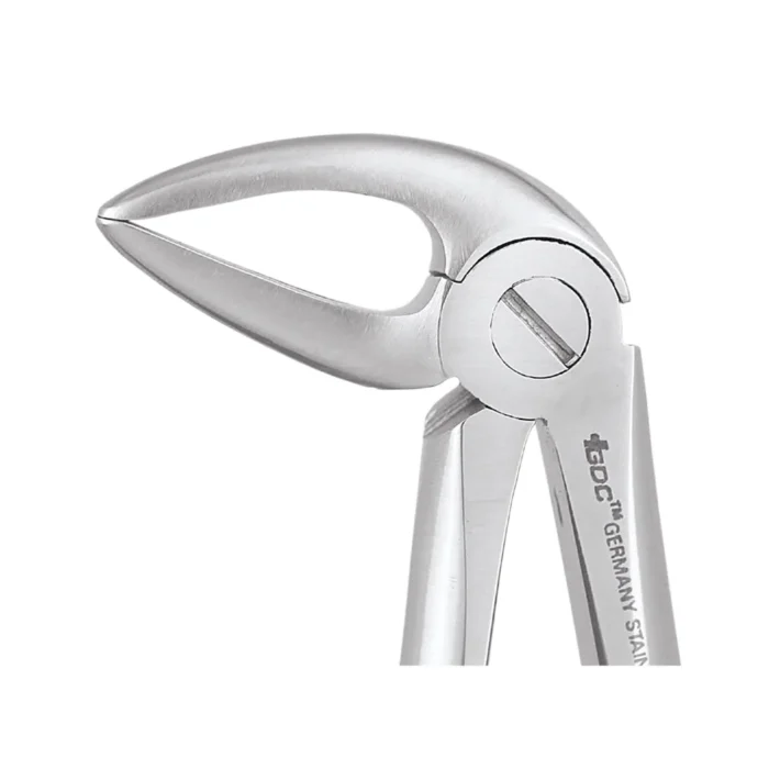 GDC Tooth Forceps Premium (FX33LP)
