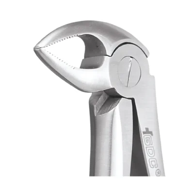 GDC Tooth Forceps Premium (FX33P)