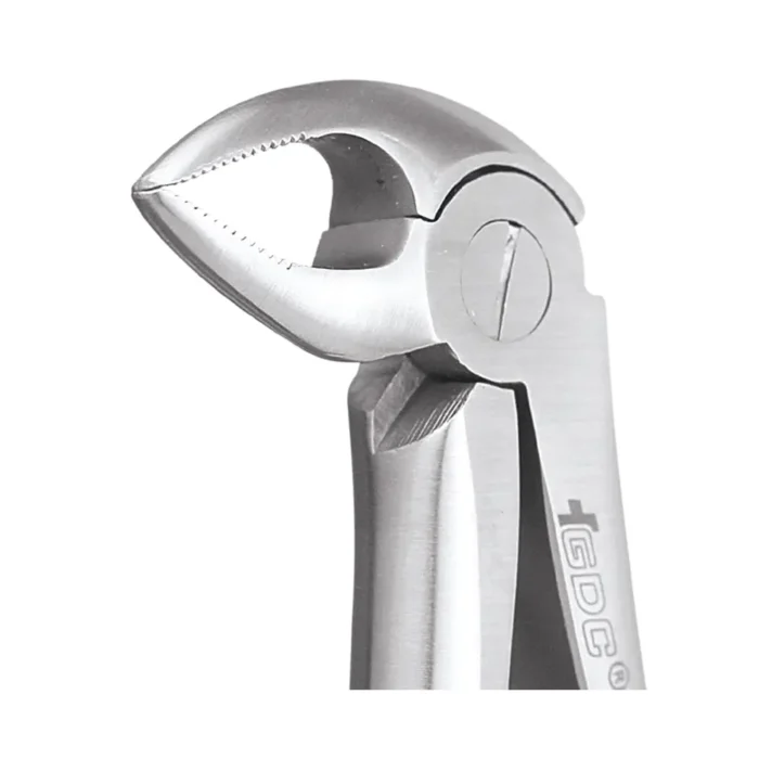 GDC Tooth Forceps Premium (FX33P)