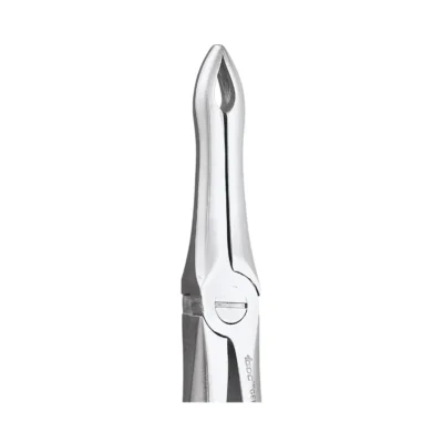 GDC Tooth Forceps Premium (FX41P)