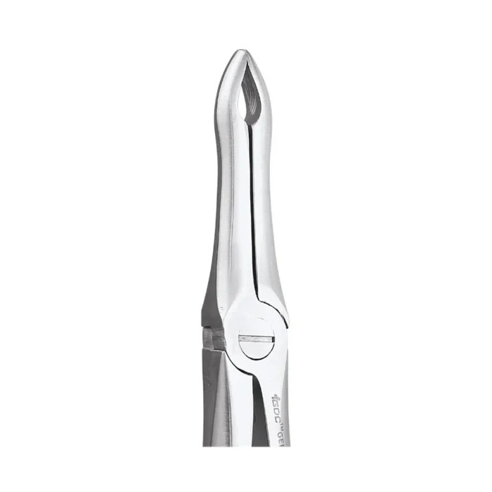 GDC Tooth Forceps Premium (FX41P)