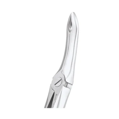 GDC Tooth Forceps Premium (FX44P)