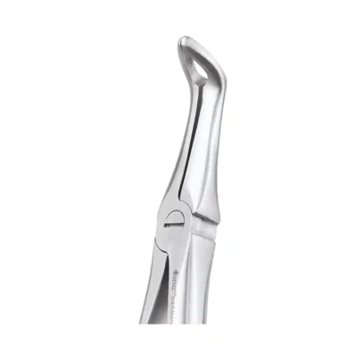 GDC Tooth Forceps Premium (FX45P)