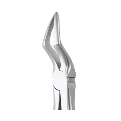 GDC Tooth Forceps Premium (FX51AP)